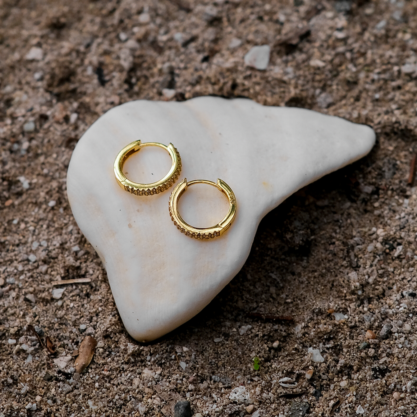 Cathy Sparkle Hoop Earrings