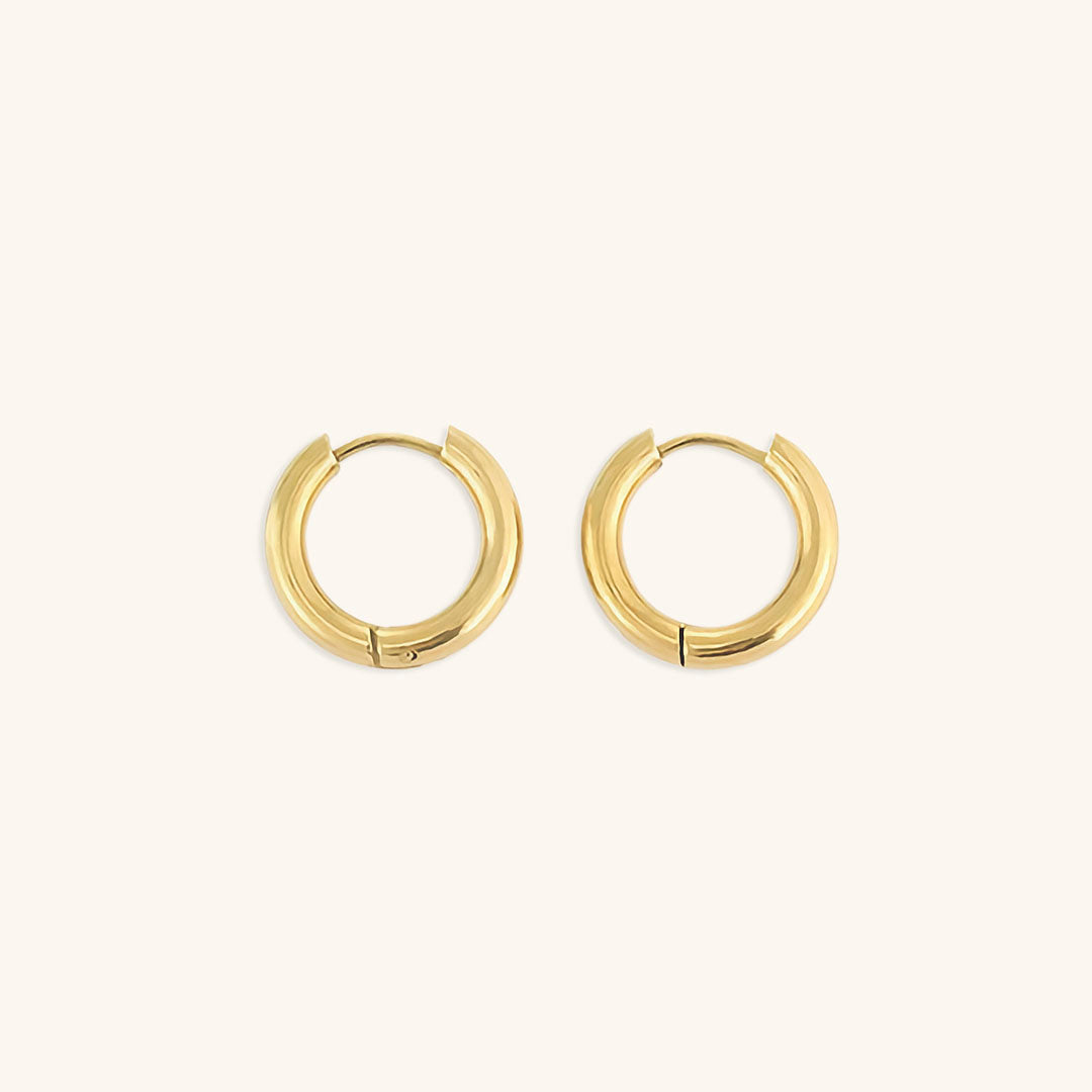 Elegant Gold & Silver Hoops Set