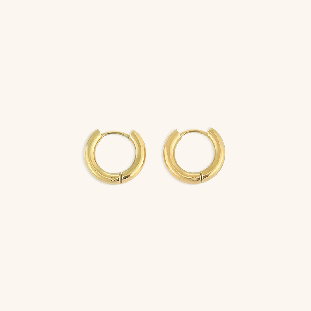 Elegant Gold & Silver Hoops Set
