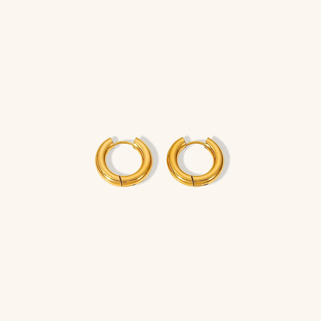Chic Hoop Earrings
