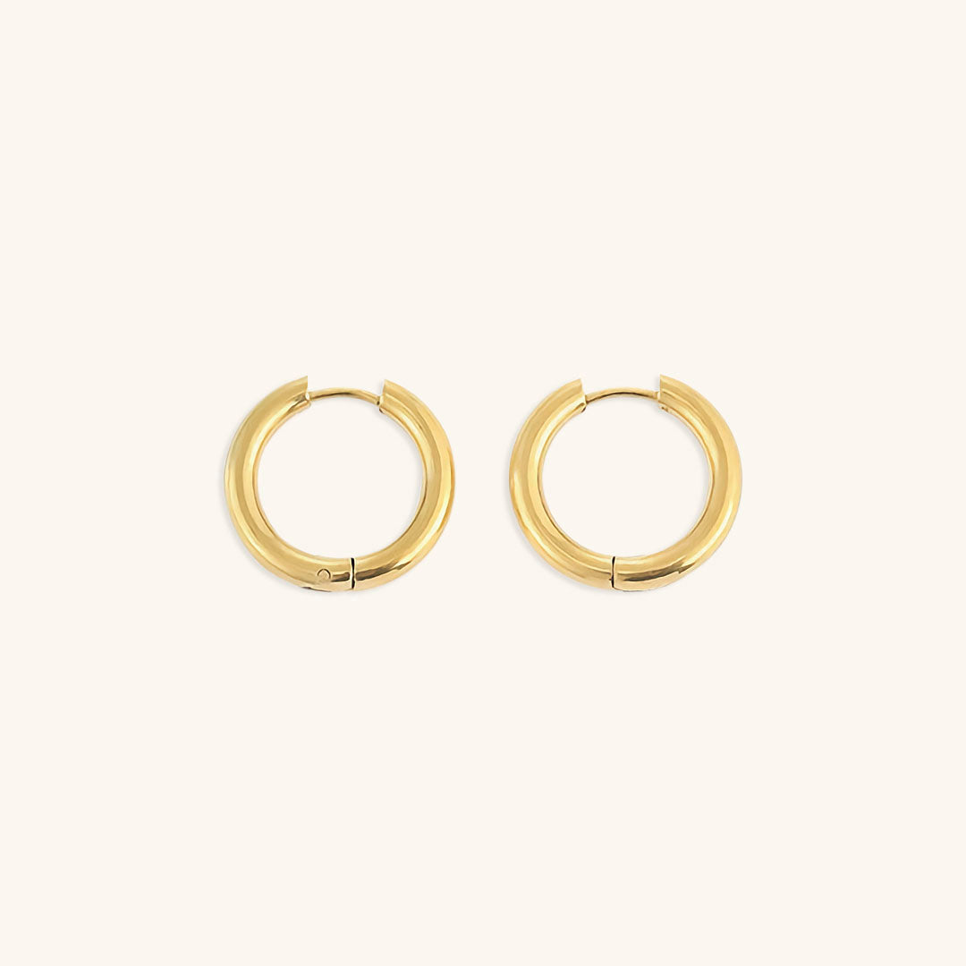 Elegant Gold & Silver Hoops Set