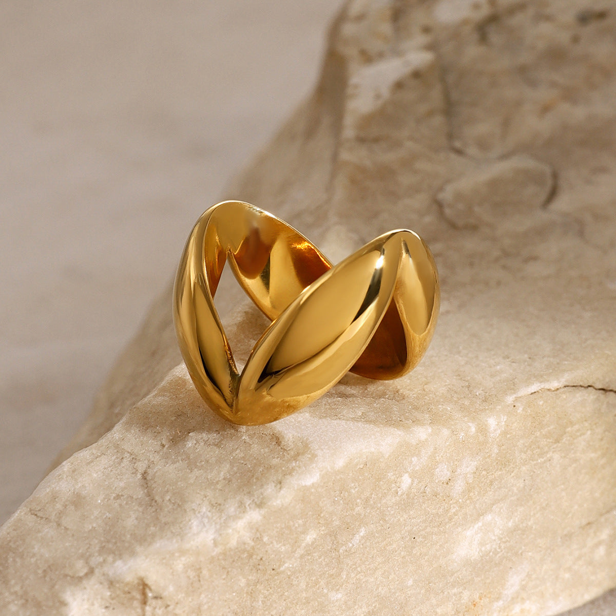 The Geometric Gold Ring