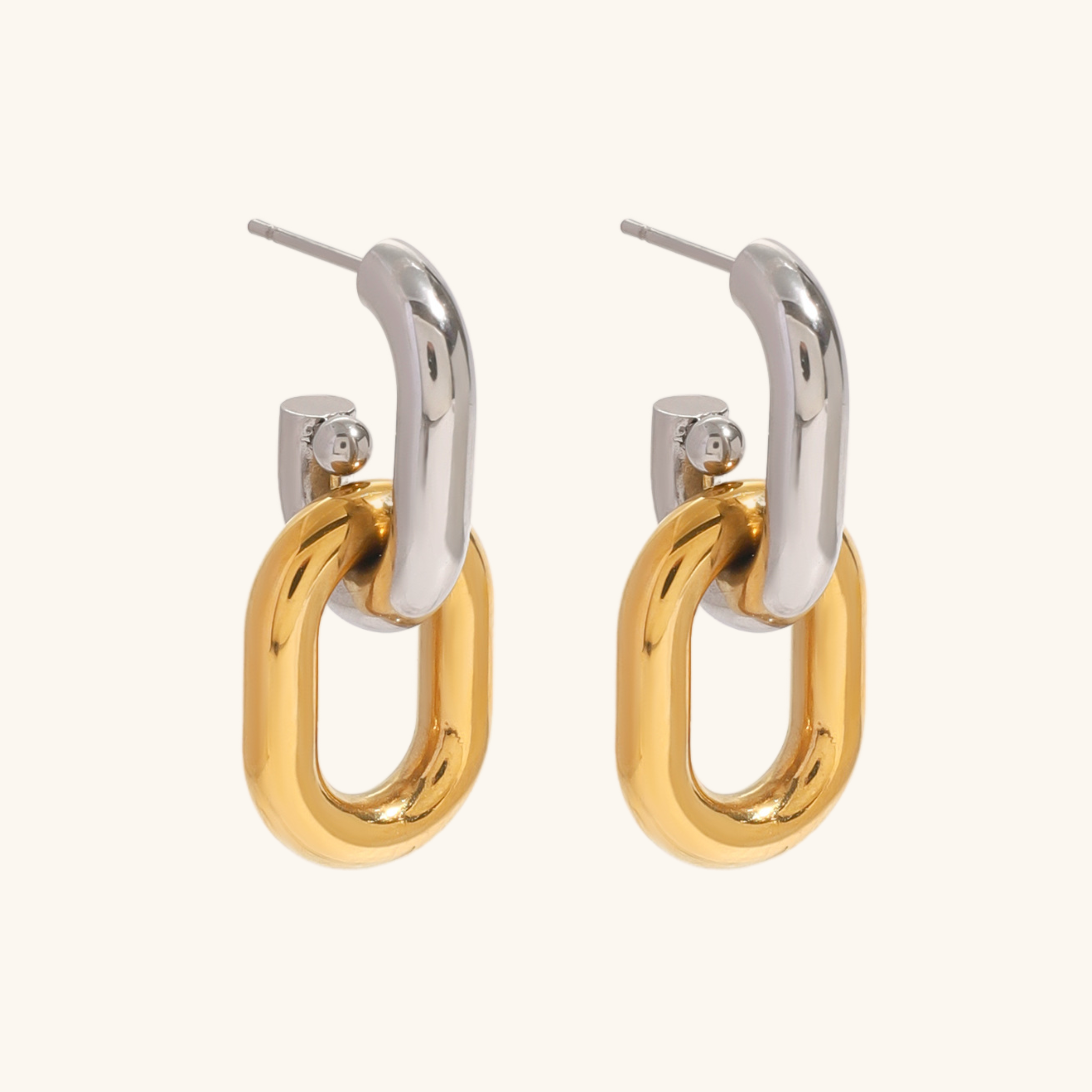 Taylor Dual Tone Hoop Earrings
